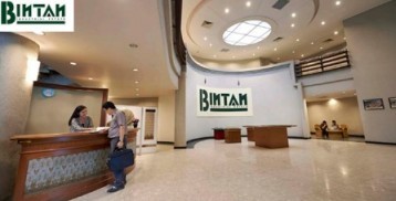 Bintan Industrial Estate